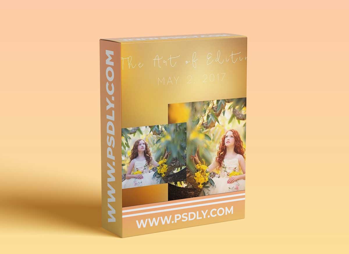 Sandra Bianco Photography - The Art of Editing Video 2 1 Sandra Bianco Photography - The Art of Editing Video 2