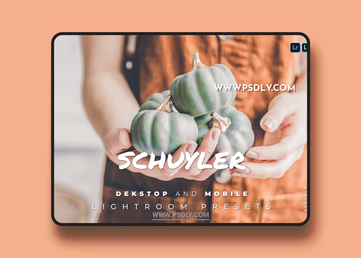 Schuyler Desktop and Mobile Lightroom Preset 1 Schuyler Desktop and Mobile Lightroom Preset