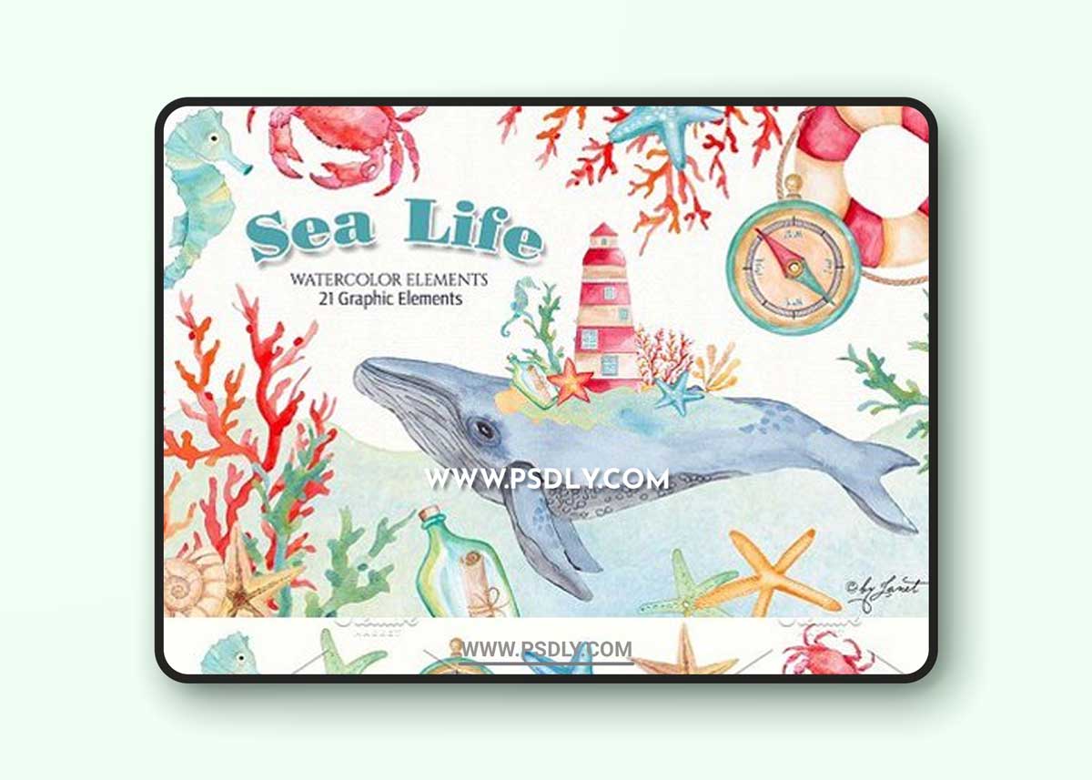 Sea Life Watercolor 1 Sea Life Watercolor