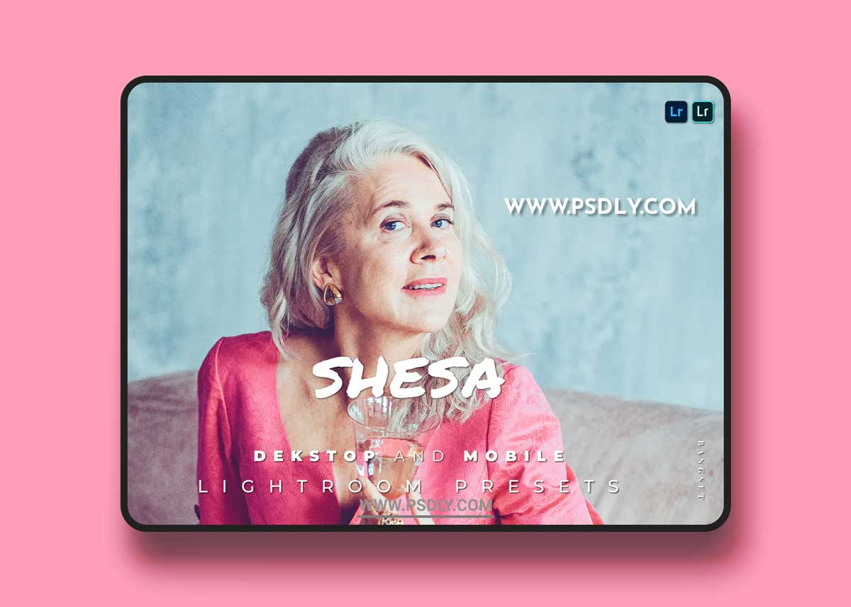 Shesa Desktop and Mobile Lightroom Preset 1 Shesa Desktop and Mobile Lightroom Preset