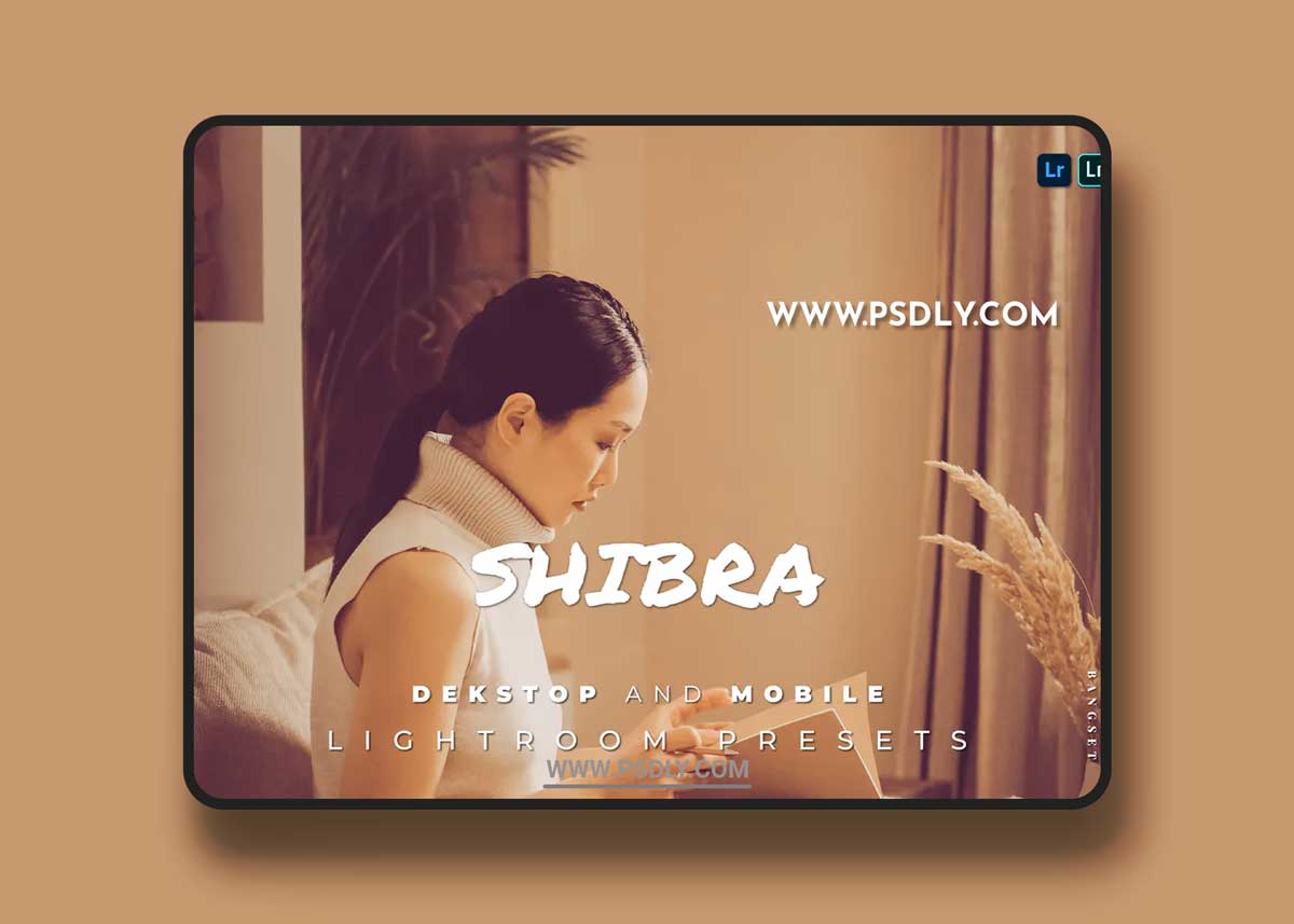 Shibra Desktop and Mobile Lightroom Preset 1 Shibra Desktop and Mobile Lightroom Preset