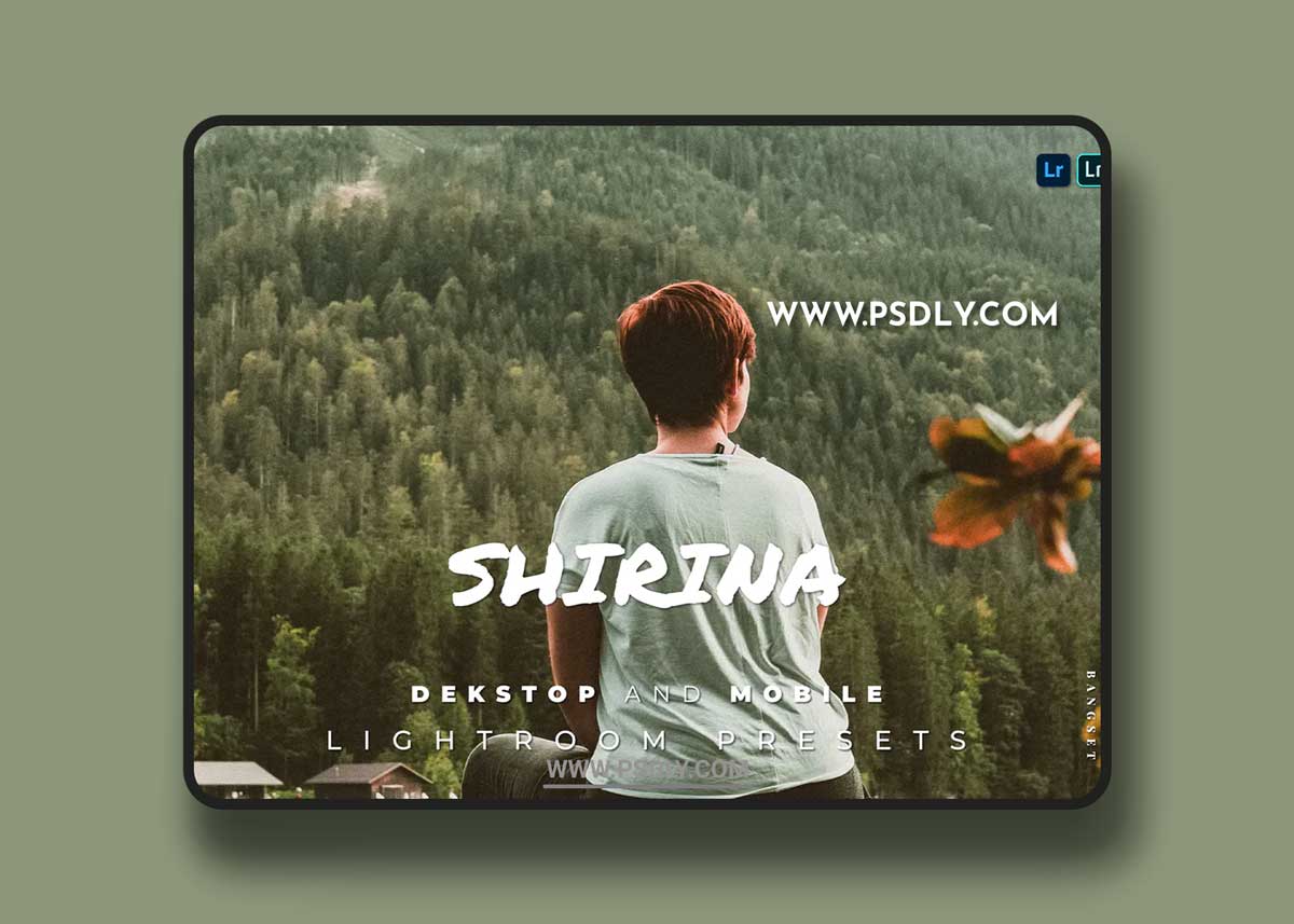 Shirina Desktop and Mobile Lightroom Preset 1 Shirina Desktop and Mobile Lightroom Preset