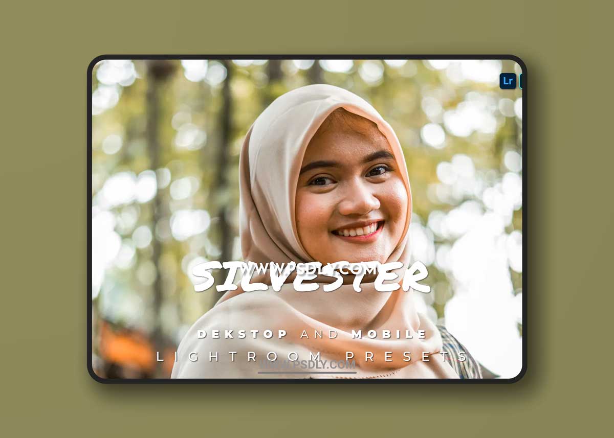 Silvester Desktop and Mobile Lightroom Preset 1 Silvester Desktop and Mobile Lightroom Preset