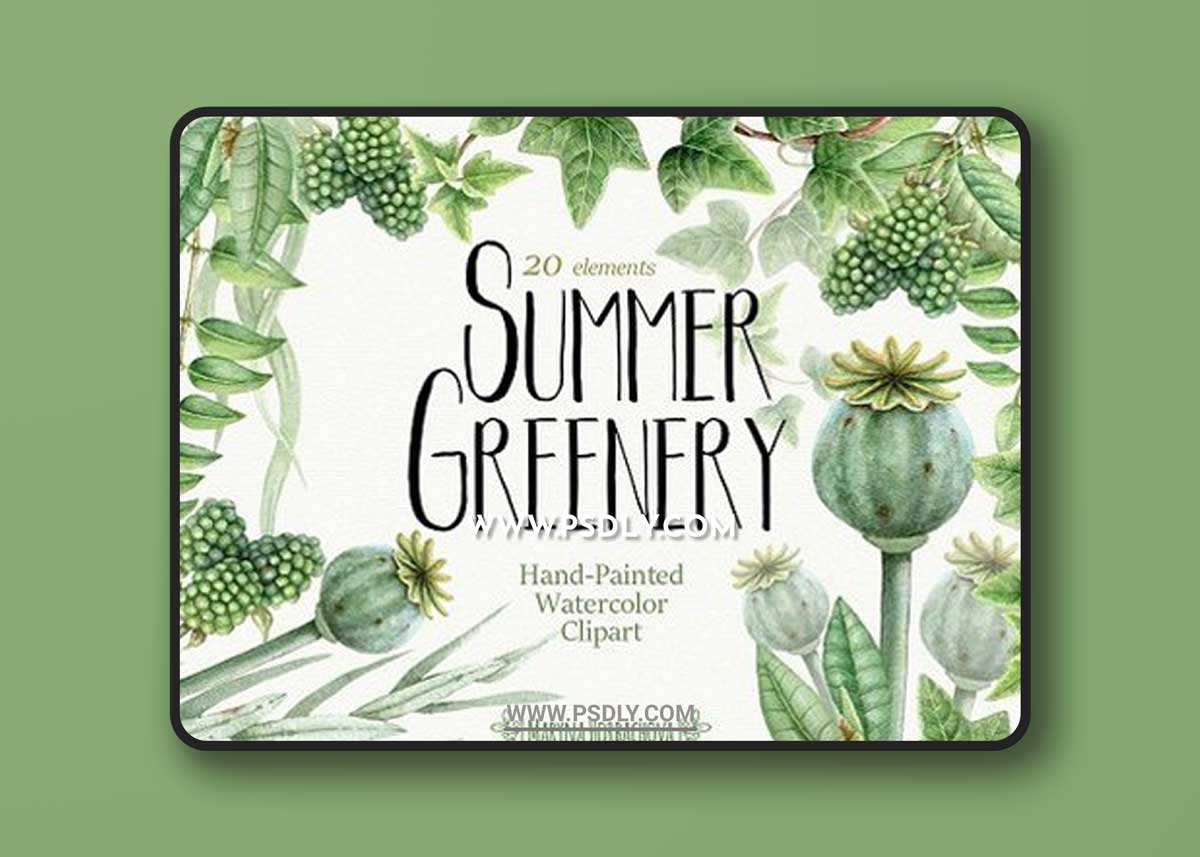 Summer Greenery. Watercolor set 1 Summer Greenery. Watercolor set