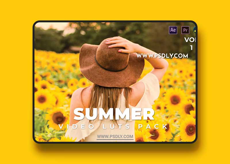 Summer Pack Video LUTs Vol.1 1 Summer Pack Video LUTs Vol.1