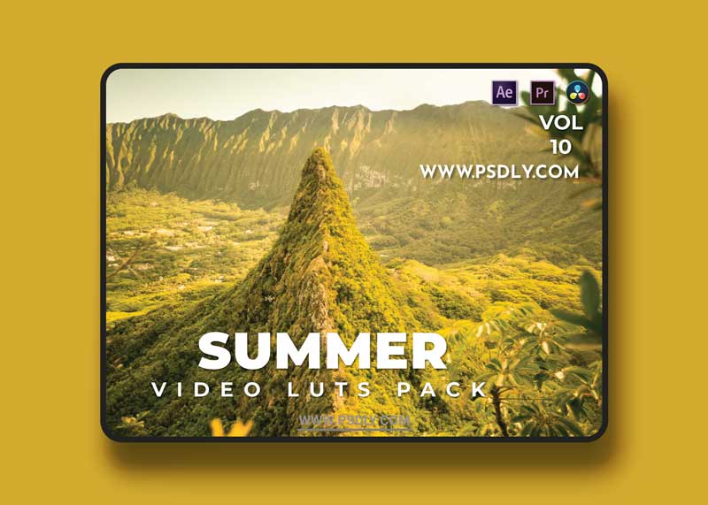 Summer Pack Video LUTs Vol.10 1 Summer Pack Video LUTs Vol.10
