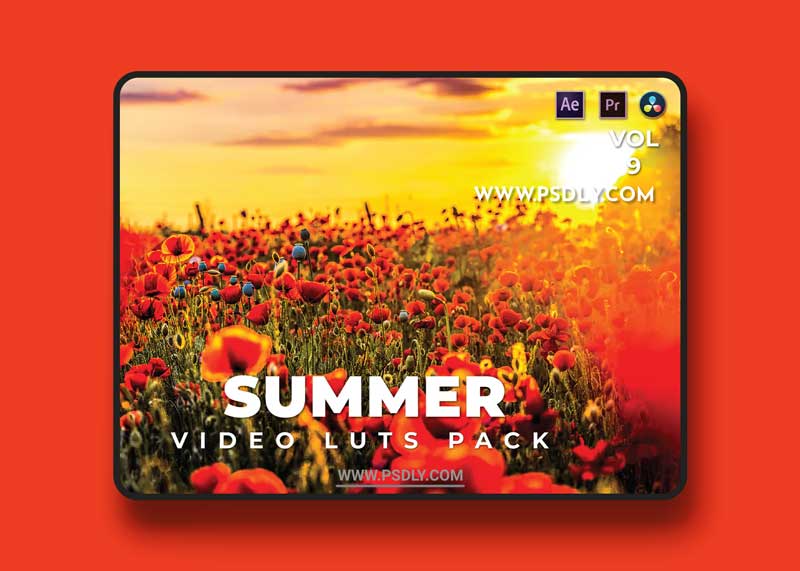 Summer Pack Video LUTs Vol.9 1 Summer Pack Video LUTs Vol.9