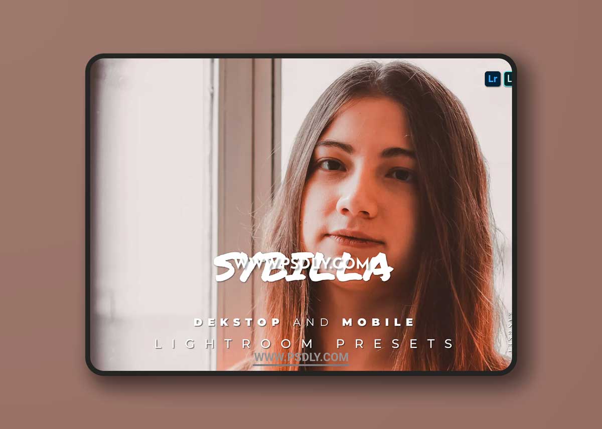 Sybilla Desktop and Mobile Lightroom Preset 1 Sybilla Desktop and Mobile Lightroom Preset