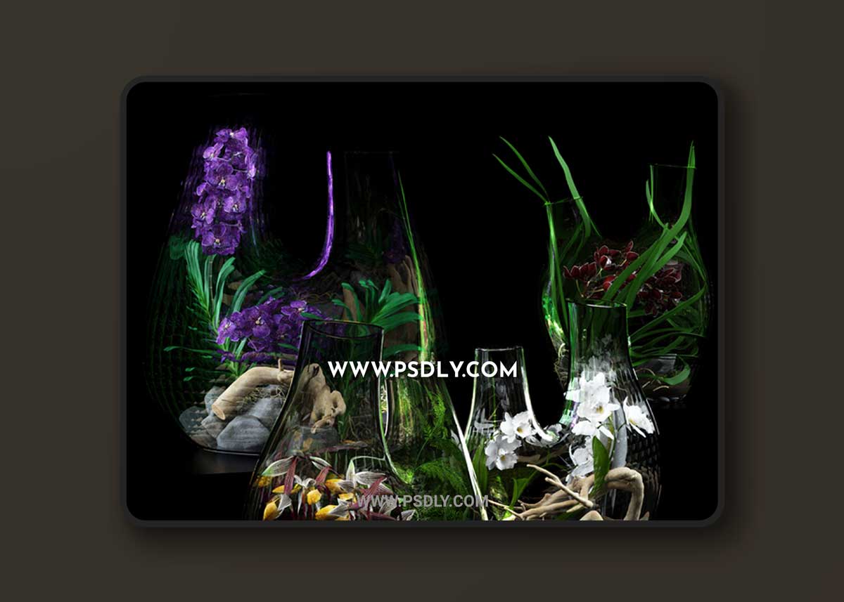 Terrarium vases with Orchids 1 Terrarium vases with Orchids