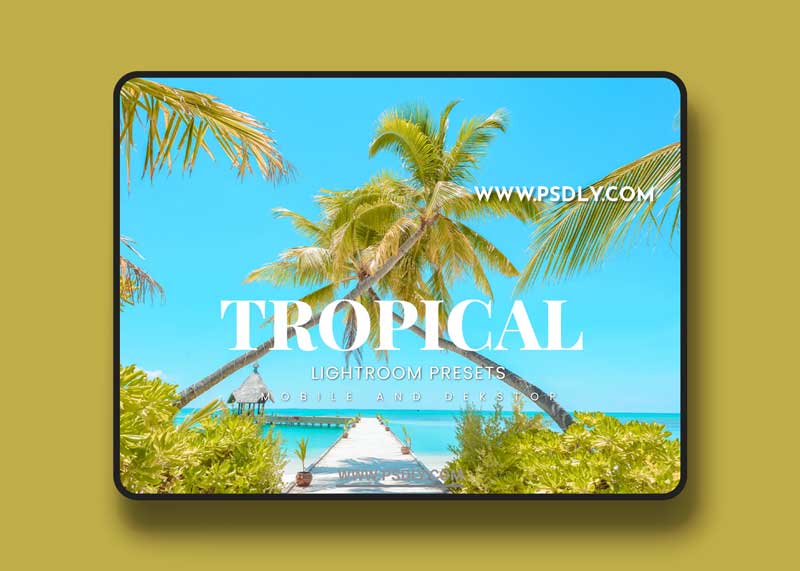 Tropical Lightroom Presets Dekstop and Mobile 1 Tropical Lightroom Presets Dekstop and Mobile