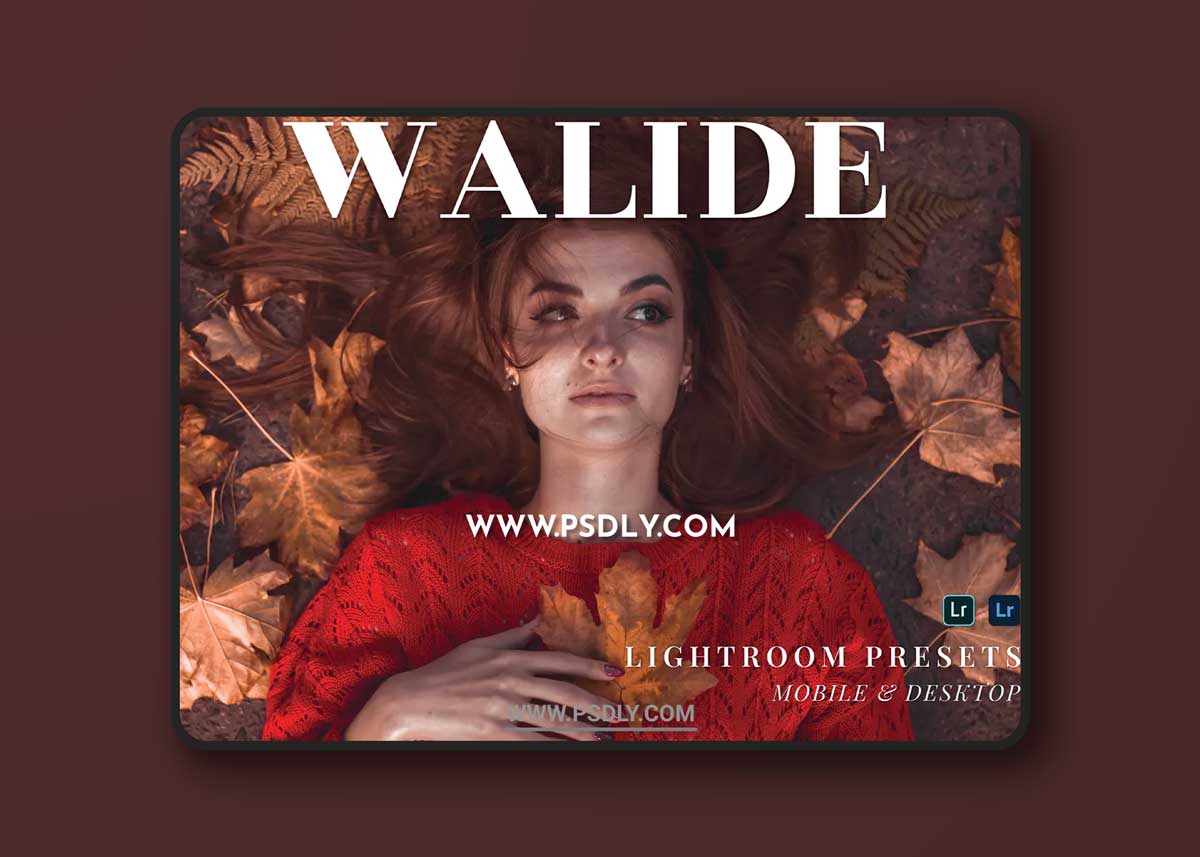Walide Mobile and Desktop Lightroom Presets 1 Walide Mobile and Desktop Lightroom Presets