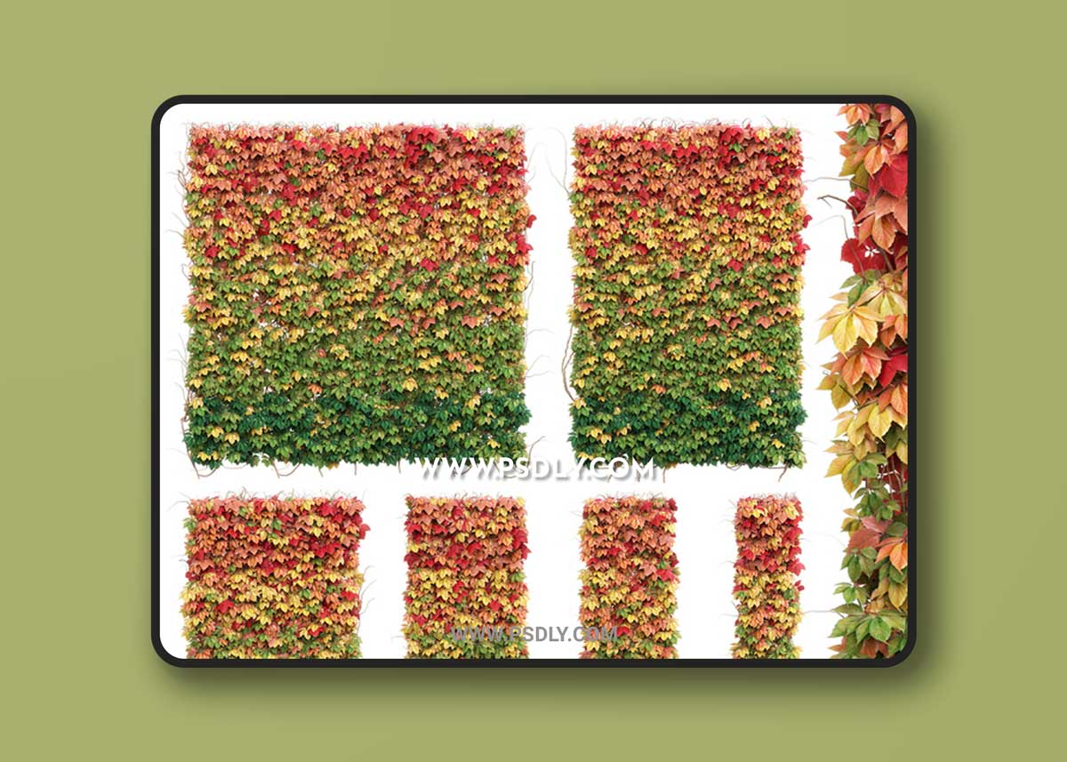 Wall from autumn leaves. Set of 6 models 1 Wall from autumn leaves. Set of 6 models