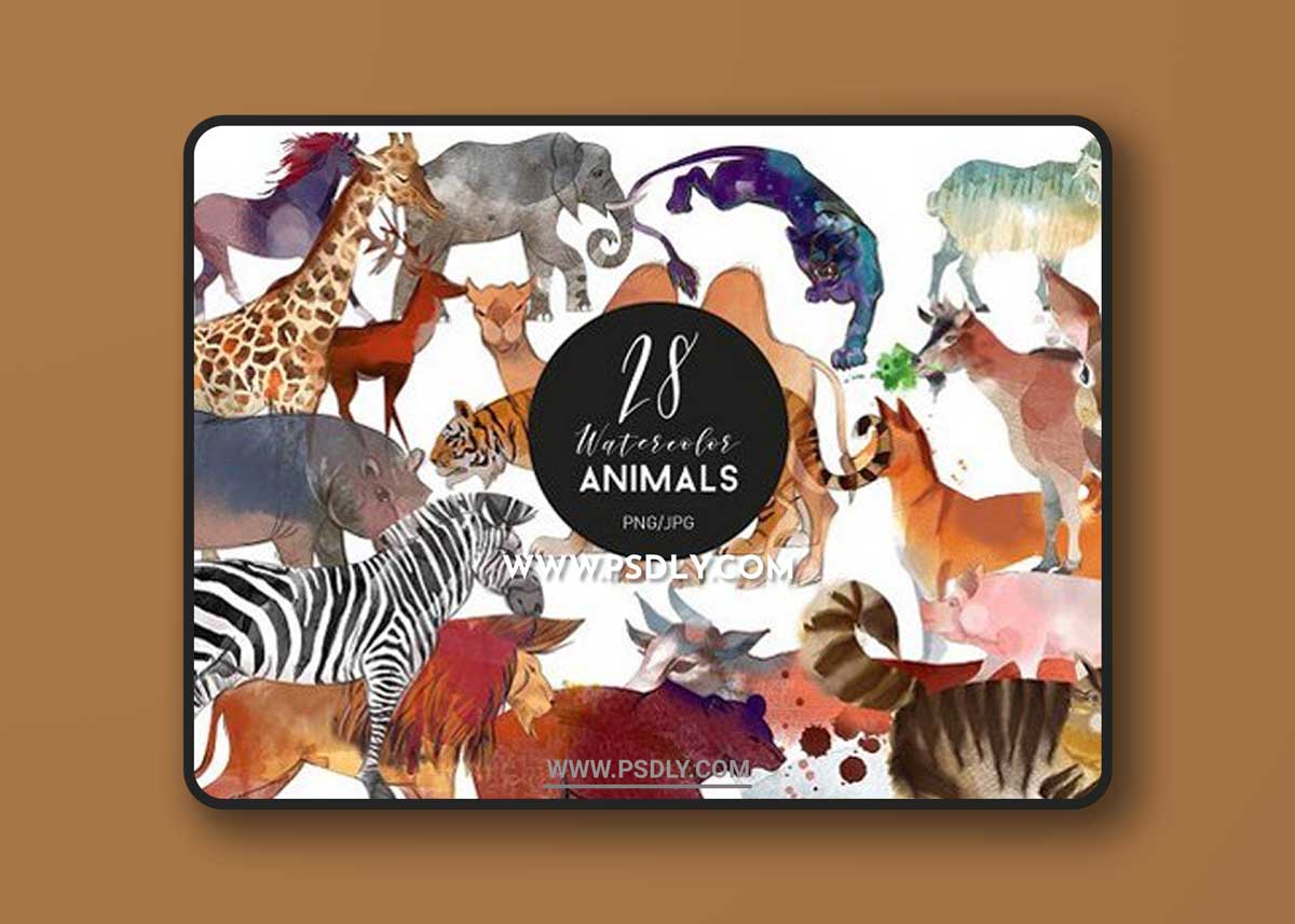 Watercolor animal set 1 Watercolor animal set