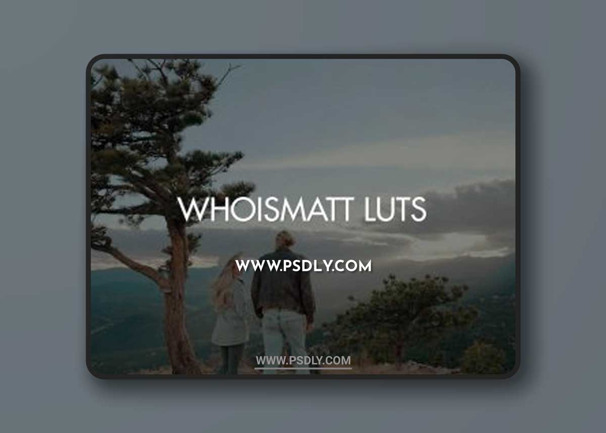 WhoisMatt LUTs 1 WhoisMatt LUTs