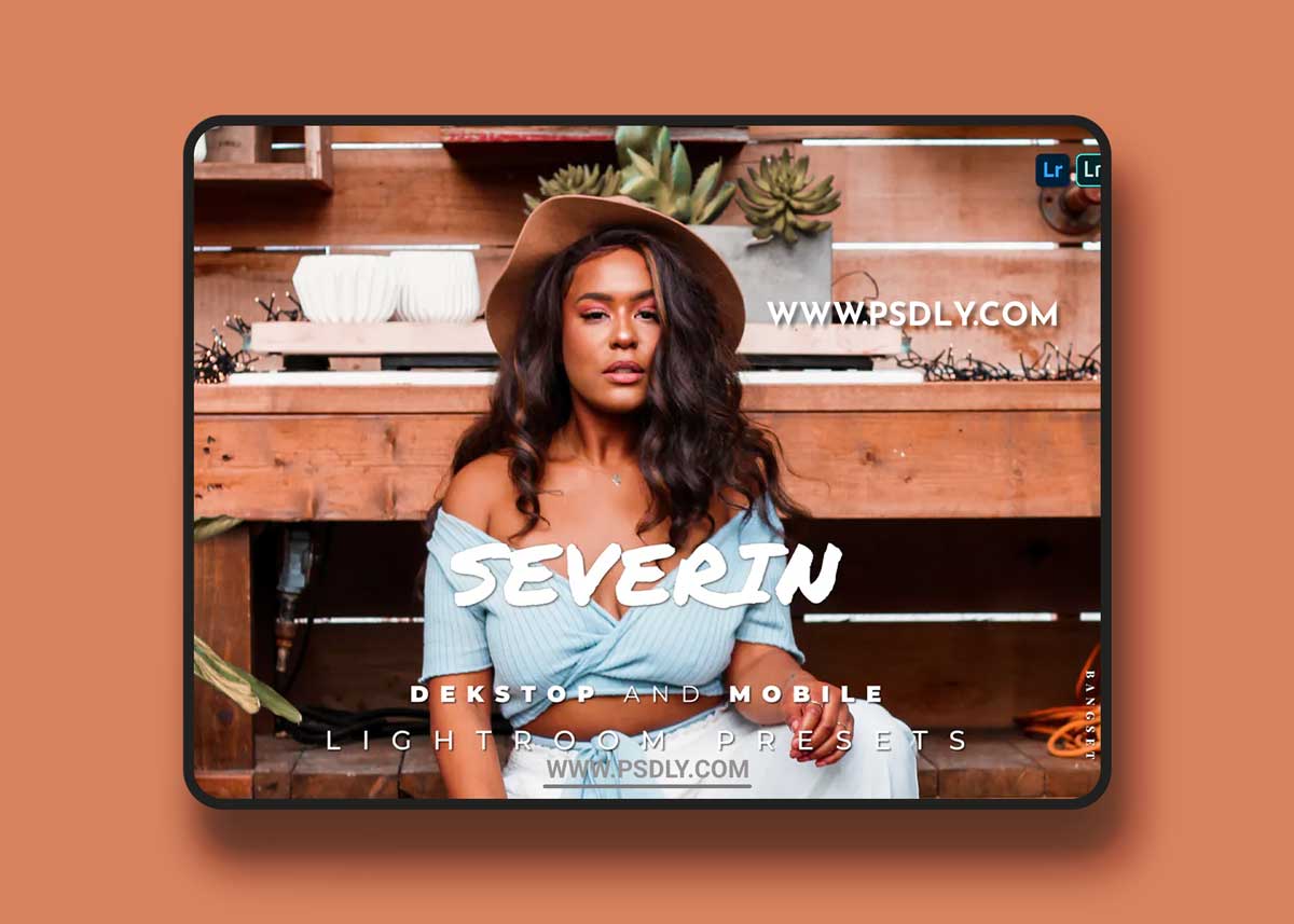 Severin Desktop and Mobile Lightroom Preset 1 Severin Desktop and Mobile Lightroom Preset