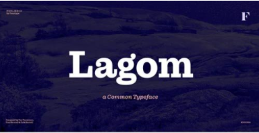 Lagom Font Family 1 Lagom Font Family