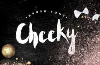 Cheeky - - handwritten brush font BONUS Fonts 1 Cheeky - - handwritten brush font BONUS Fonts