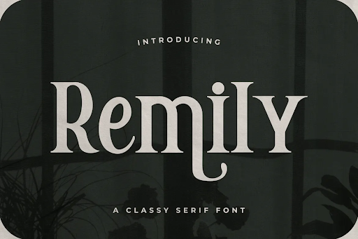 Remily – A Classy Serif Font 1 Remily – A Classy Serif Font