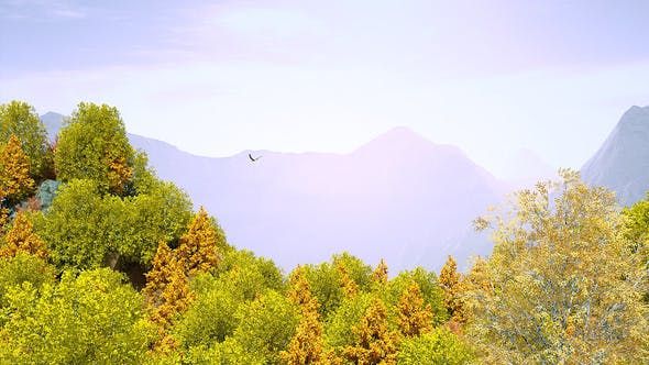 Videohive Autumn Forest Nature Logo 30617950 1 Videohive Autumn Forest Nature Logo 30617950