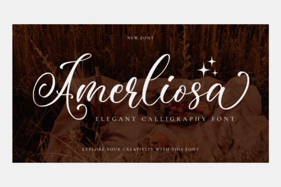 Amerliosa Font 1 Amerliosa Font