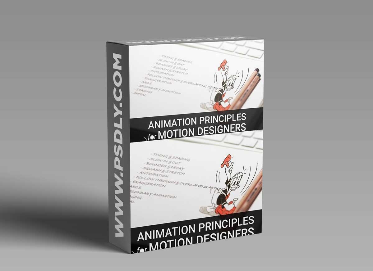 Animation Principles for Motion Designers 1 Animation Principles for Motion Designers