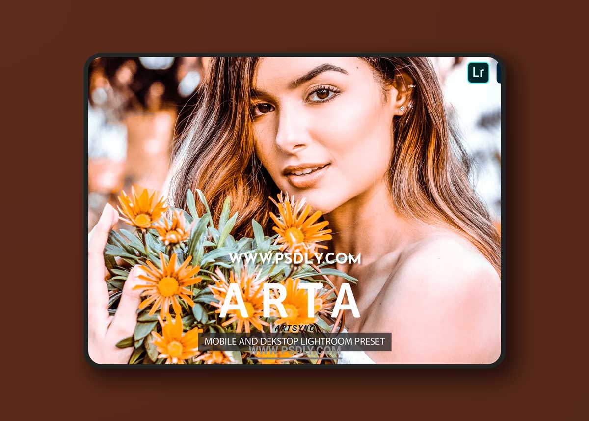 Arta Lightroom Presets Dekstop and Mobile 1 Arta Lightroom Presets Dekstop and Mobile