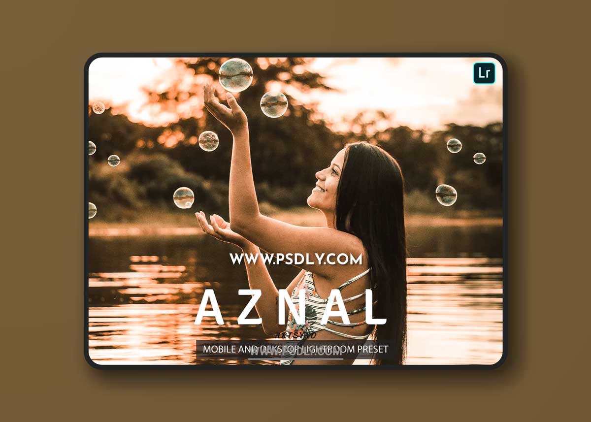 Aznal Lightroom Presets Dekstop and Mobile 1 Aznal Lightroom Presets Dekstop and Mobile