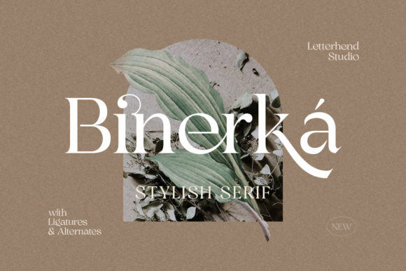 Binerka Font 1 Binerka Font