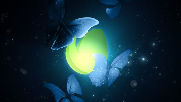 Videohive Butterflies in the Dark 28672335 1 Videohive Butterflies in the Dark 28672335