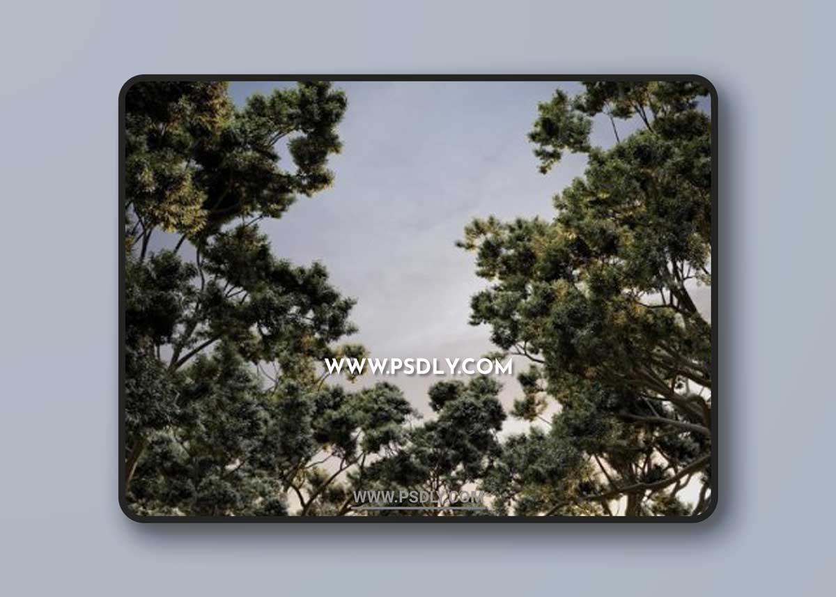 CG Helios – HeliosVegetation vol.2 Updated 1 CG Helios – HeliosVegetation vol.2 Updated