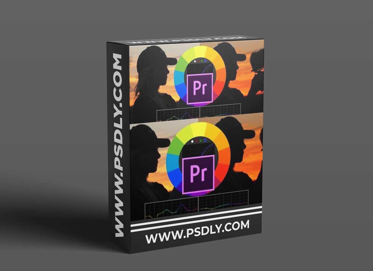 Color Grading & Creating LUTs In Premiere Pro For Beginners 1 Color Grading & Creating LUTs In Premiere Pro For Beginners