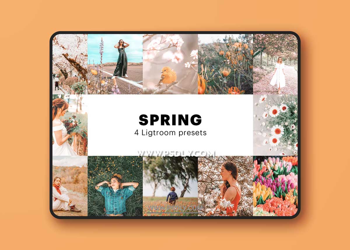 CreativeMarket - 4 Spring Lightroom Presets 5627531 1 CreativeMarket - 4 Spring Lightroom Presets 5627531