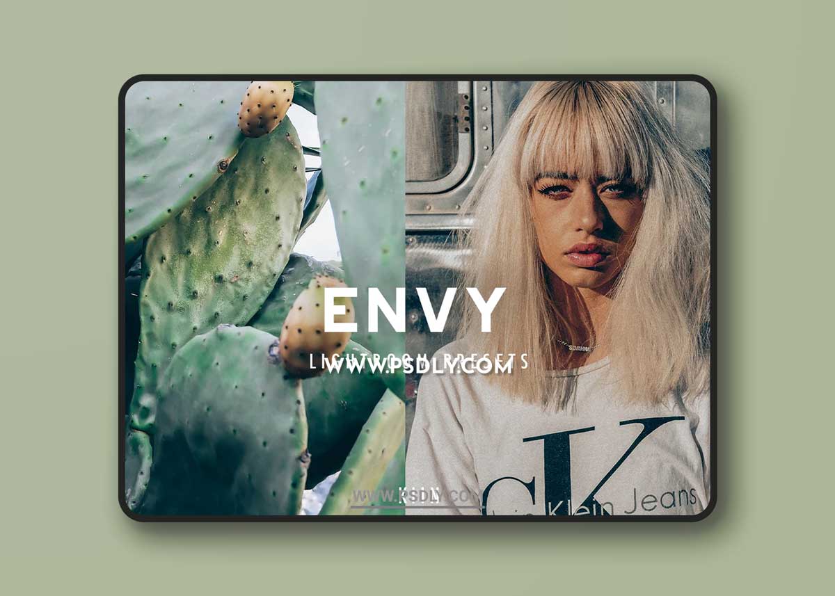 CreativeMarket - 7 ENVY LIGHTROOM PRESETS 6450078 1 CreativeMarket - 7 ENVY LIGHTROOM PRESETS 6450078