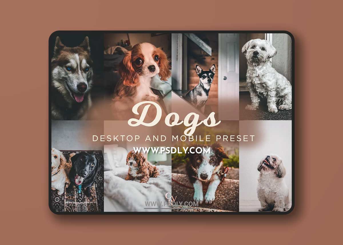 CreativeMarket - 8 Dogs Lightroom Presets 6278930 1 CreativeMarket - 8 Dogs Lightroom Presets 6278930