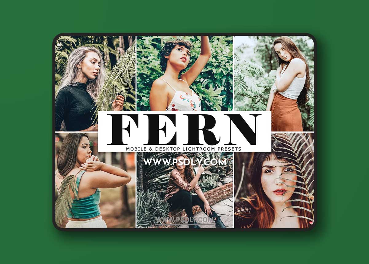 CreativeMarket - Fern Lightroom Presets Pack 4140047 1 CreativeMarket - Fern Lightroom Presets Pack 4140047