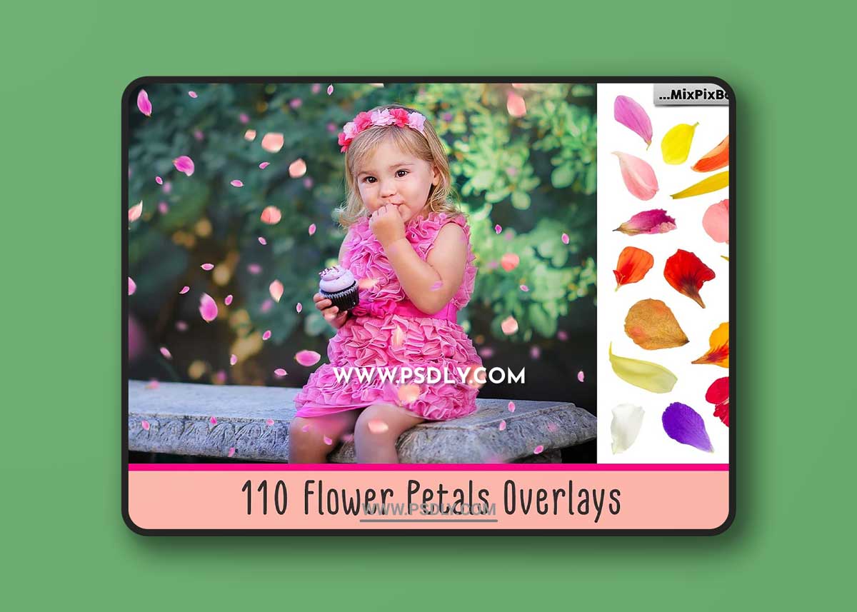 CreativeMarket - Flower Petals Photo Overlays 3399998 1 CreativeMarket - Flower Petals Photo Overlays 3399998