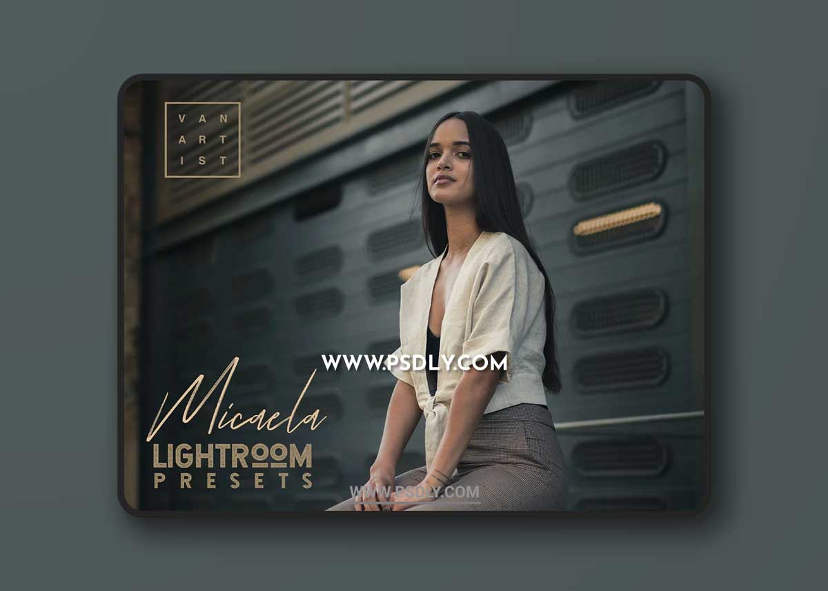 CreativeMarket - Micaela Portrait Presets 3381133 1 CreativeMarket - Micaela Portrait Presets 3381133