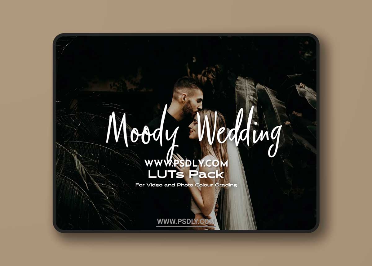 Creativemarket - Moody Wedding LUTs pack 6425901 1 Creativemarket - Moody Wedding LUTs pack 6425901