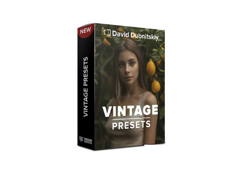 David Dubnitskiy - Vintage Presets 1 David Dubnitskiy - Vintage Presets