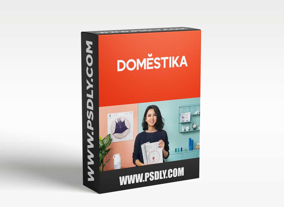 Domestika - Data Visualization and Information Design: Create a Visual Model 1 Domestika - Data Visualization and Information Design: Create a Visual Model