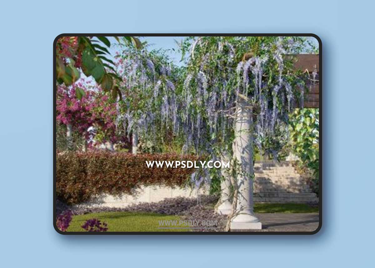 Globe Plants - Bundle 06 - Vines and Creepers 02 1 Globe Plants - Bundle 06 - Vines and Creepers 02