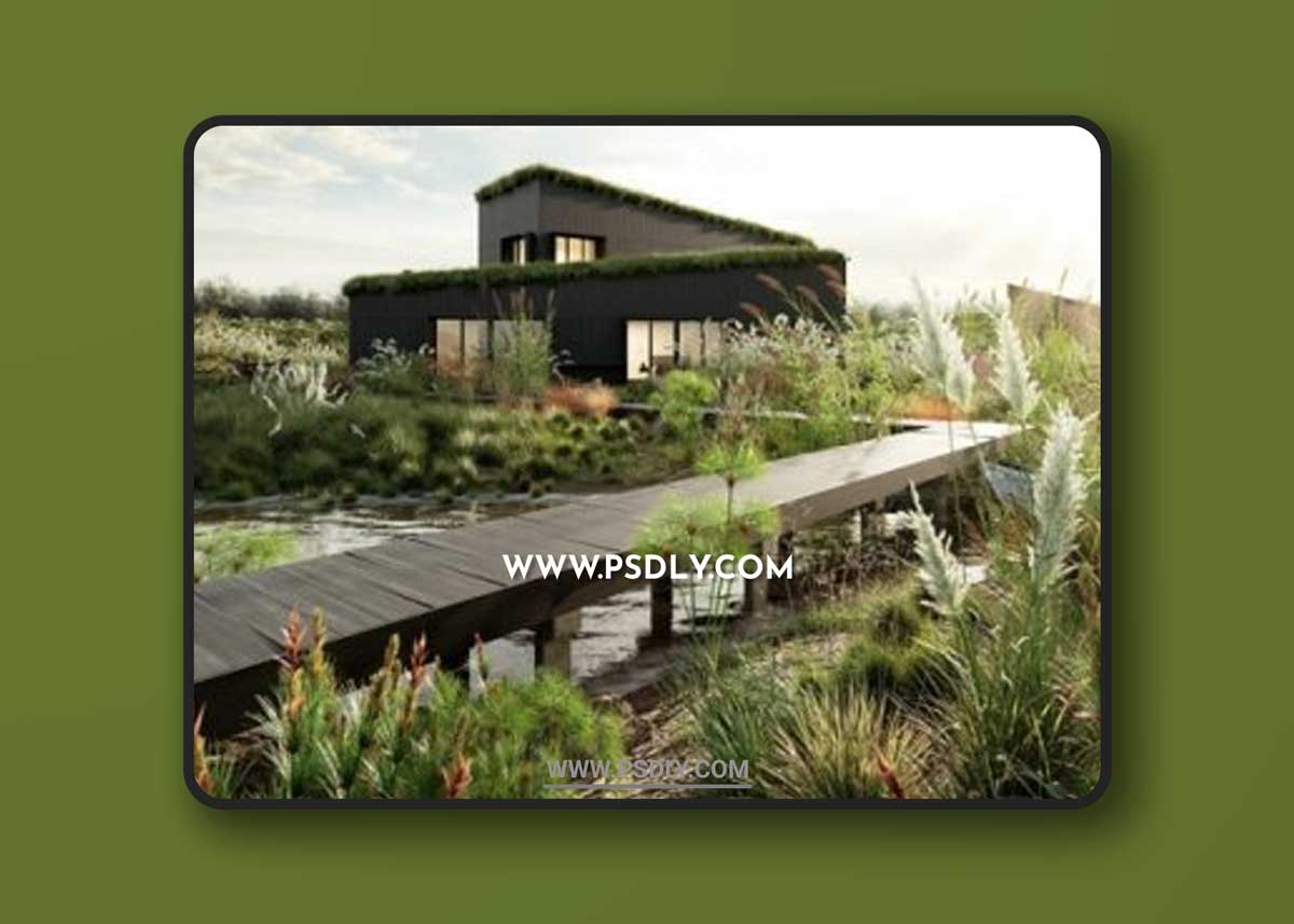 Globe Plants – Bundle 26 – Ornamental Grasses 02 1 Globe Plants – Bundle 26 – Ornamental Grasses 02