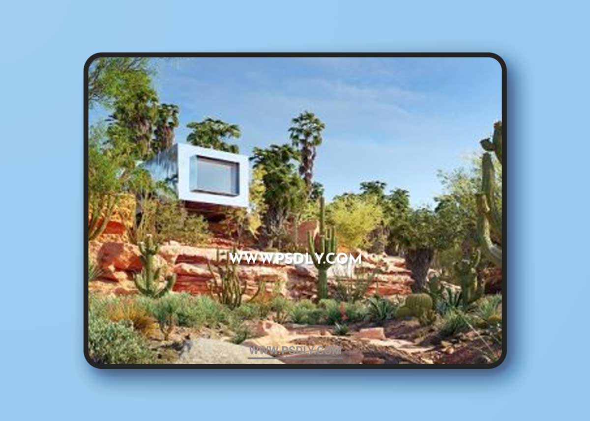 Globe Plants – Bundle 34 Mexican Plants 1 Globe Plants – Bundle 34 Mexican Plants