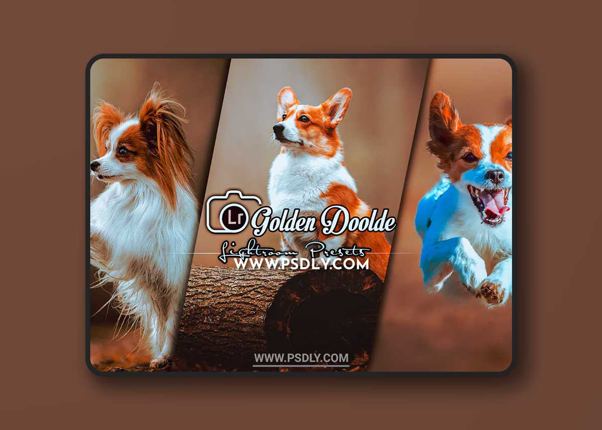 Golden Doolde Lightroom Presets Mobile and Desktop 1 Golden Doolde Lightroom Presets Mobile and Desktop