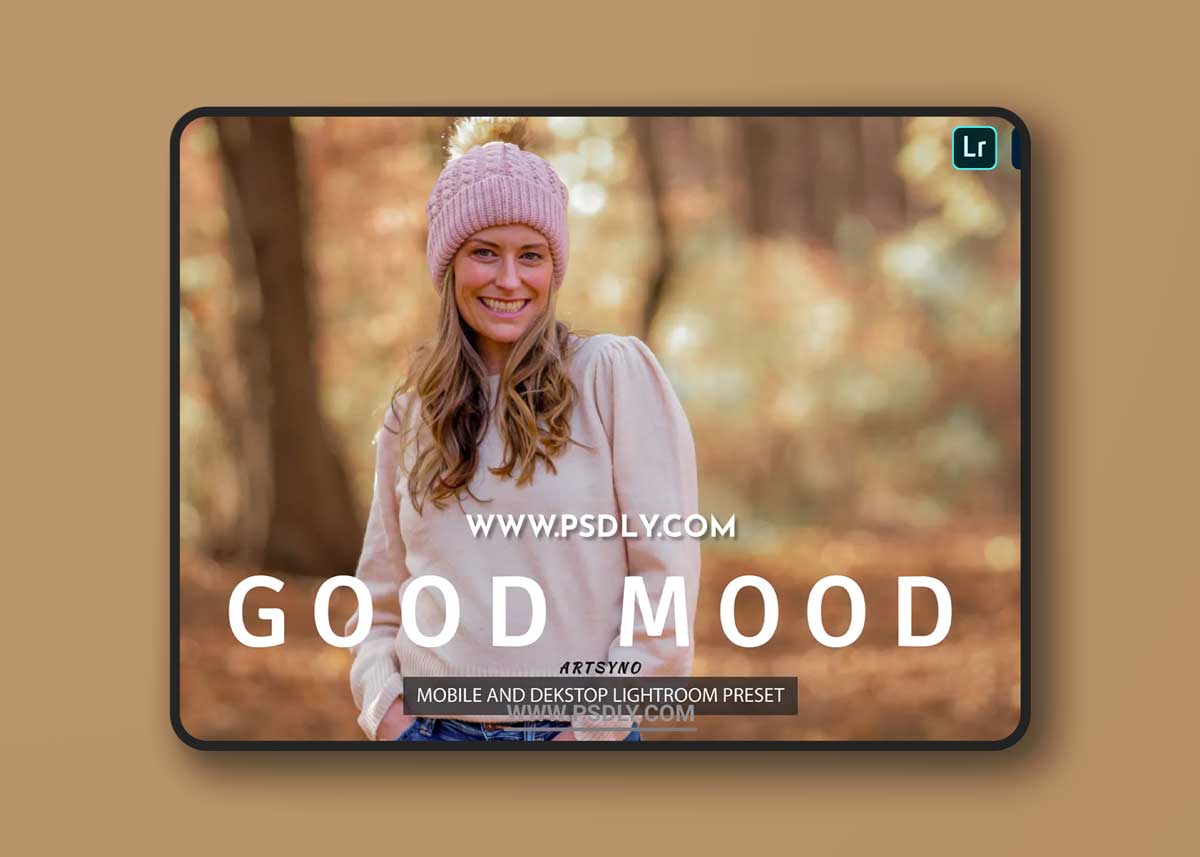 Good Mood Lightroom Presets Dekstop and Mobile 1 Good Mood Lightroom Presets Dekstop and Mobile