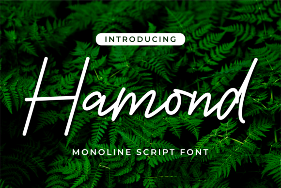 Hamond Font 1 Hamond Font