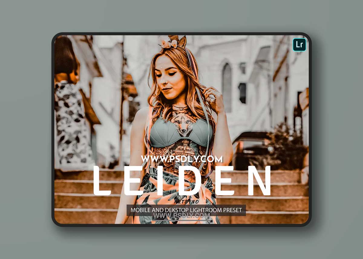 Leiden Lightroom Presets Dekstop and Mobile 1 Leiden Lightroom Presets Dekstop and Mobile