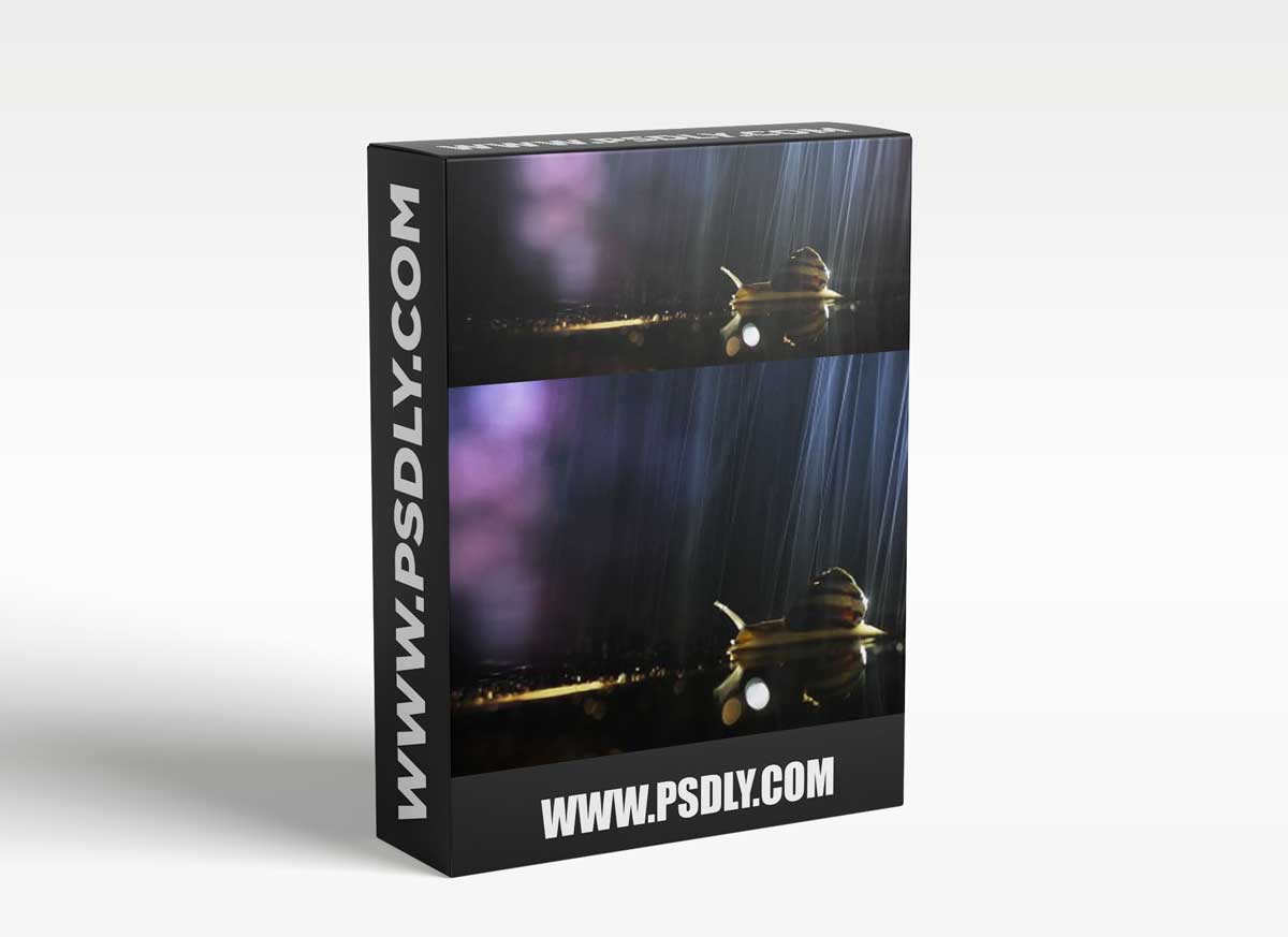 Mango-Ice Photography - Top 5 Tips for Macro Photography 1 Mango-Ice Photography - Top 5 Tips for Macro Photography