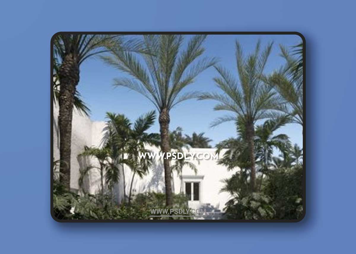 Maxtree – Plant Models Vol. 71 3D Models 1 Maxtree – Plant Models Vol. 71 3D Models