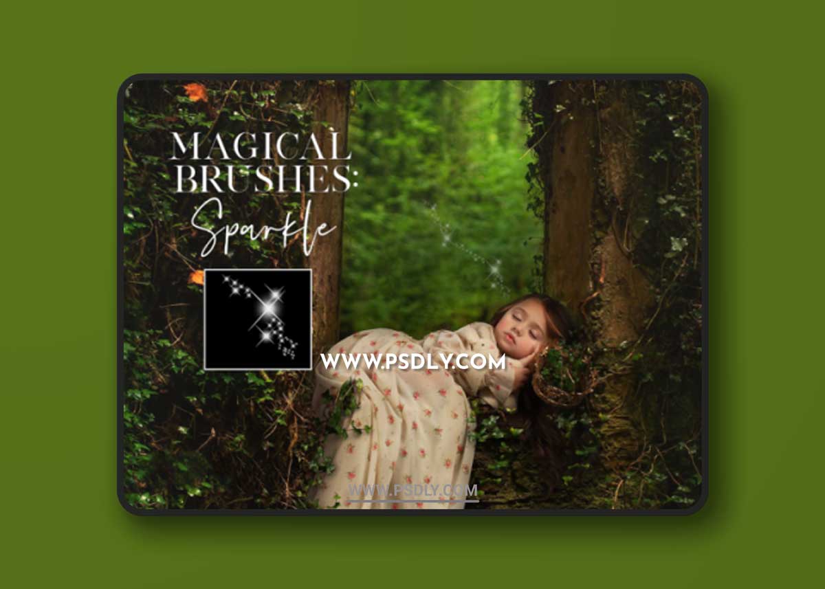 Meg Bitton - Sparkle Brushes 1 Meg Bitton - Sparkle Brushes